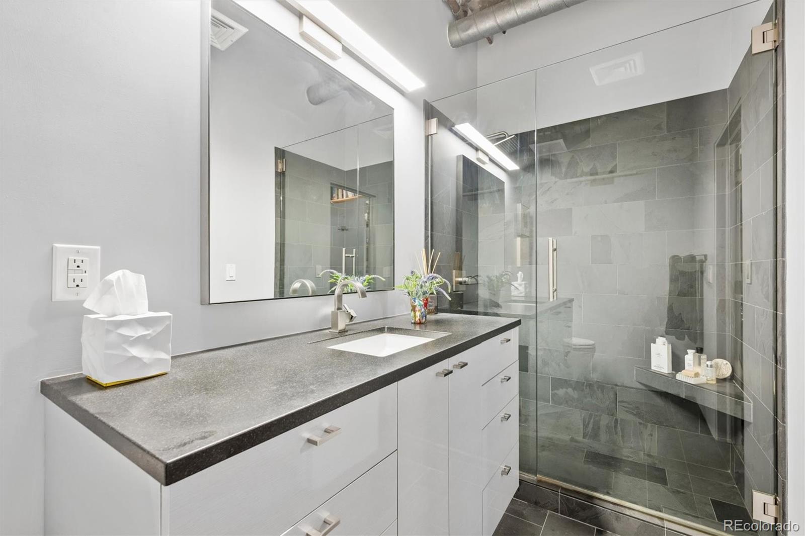 MLS Image #17 for 290 w 12th avenue,denver, Colorado