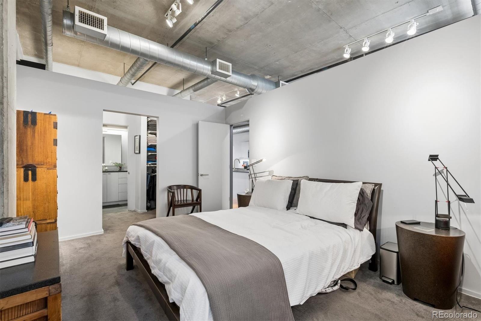MLS Image #19 for 290 w 12th avenue,denver, Colorado