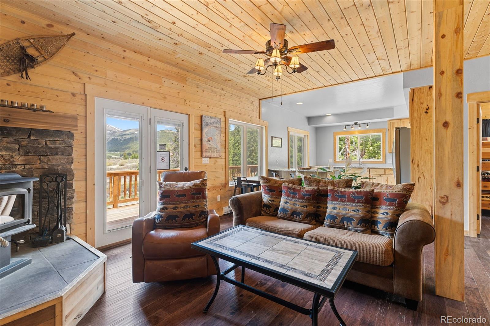 MLS Image #1 for 52  coot place,alma, Colorado