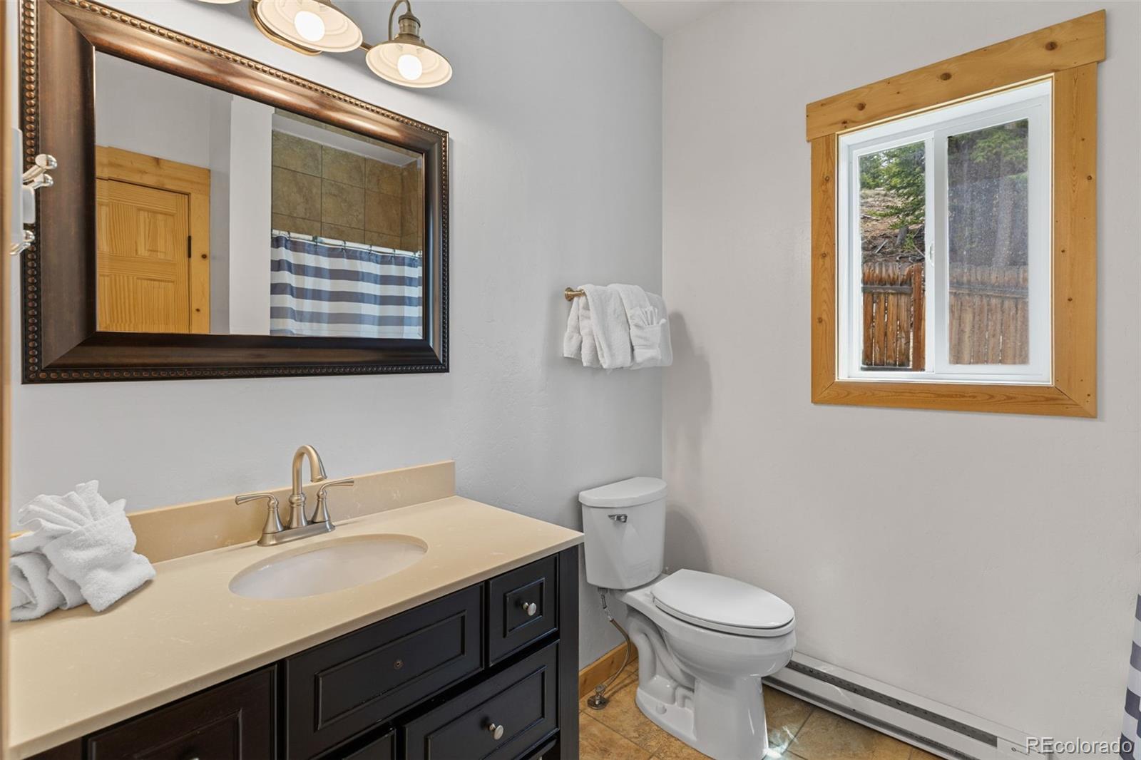 MLS Image #12 for 52  coot place,alma, Colorado