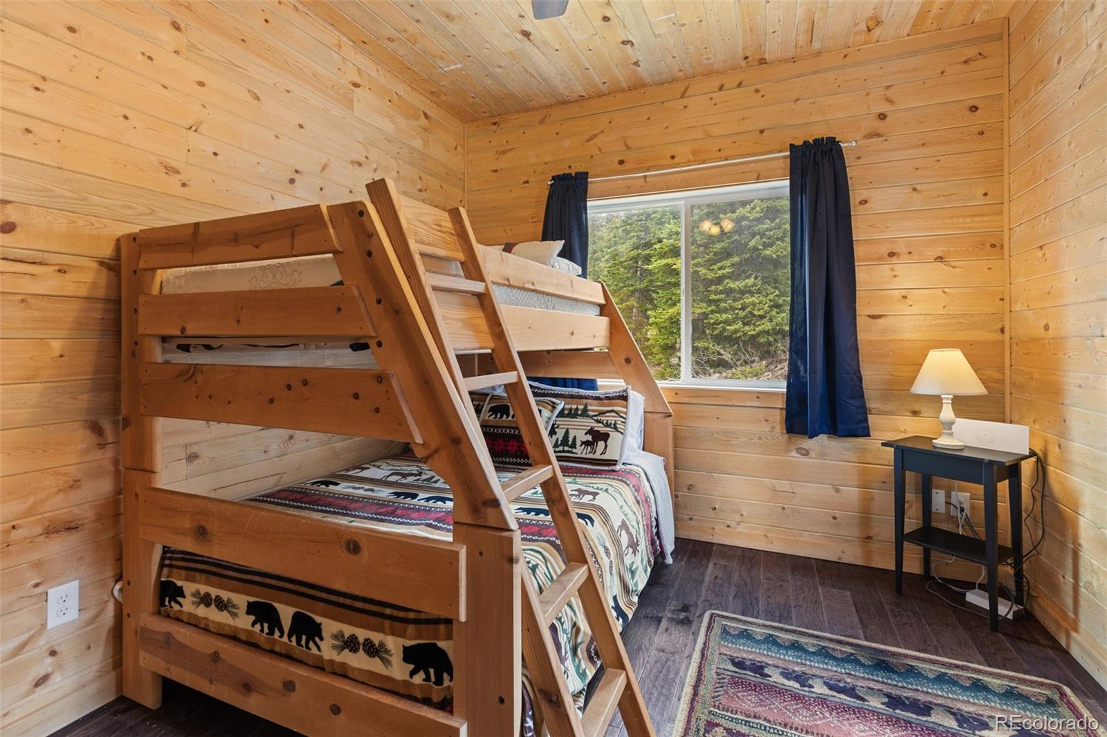 MLS Image #14 for 52  coot place,alma, Colorado