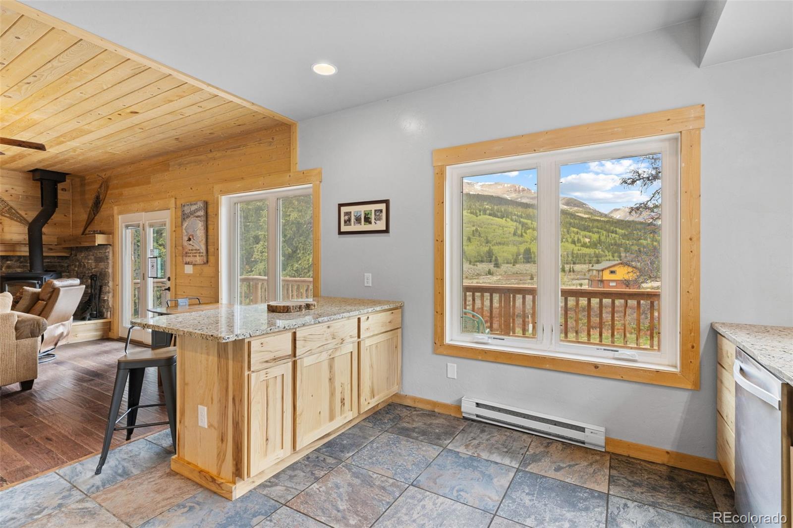 MLS Image #2 for 52  coot place,alma, Colorado