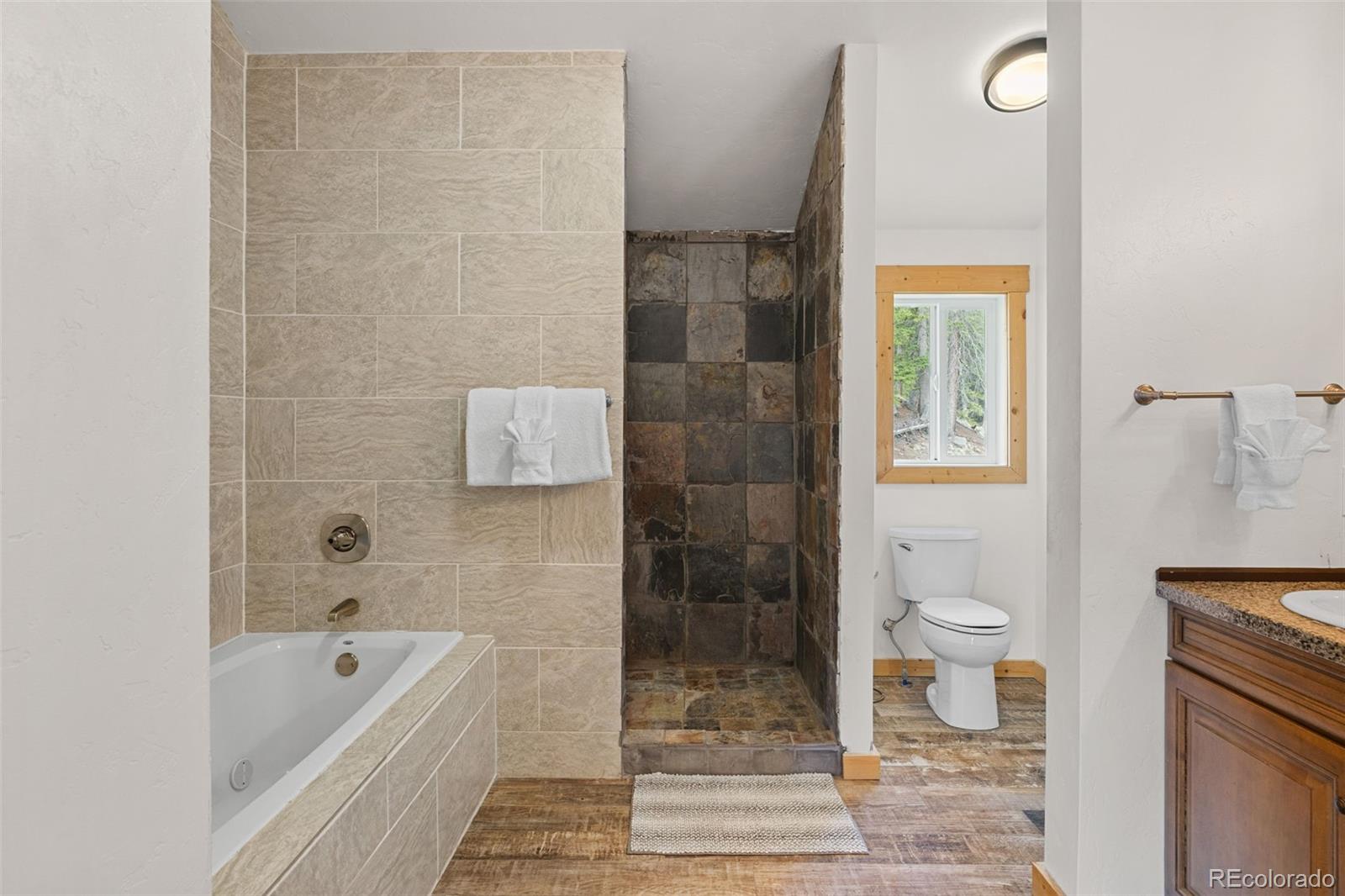MLS Image #22 for 52  coot place,alma, Colorado