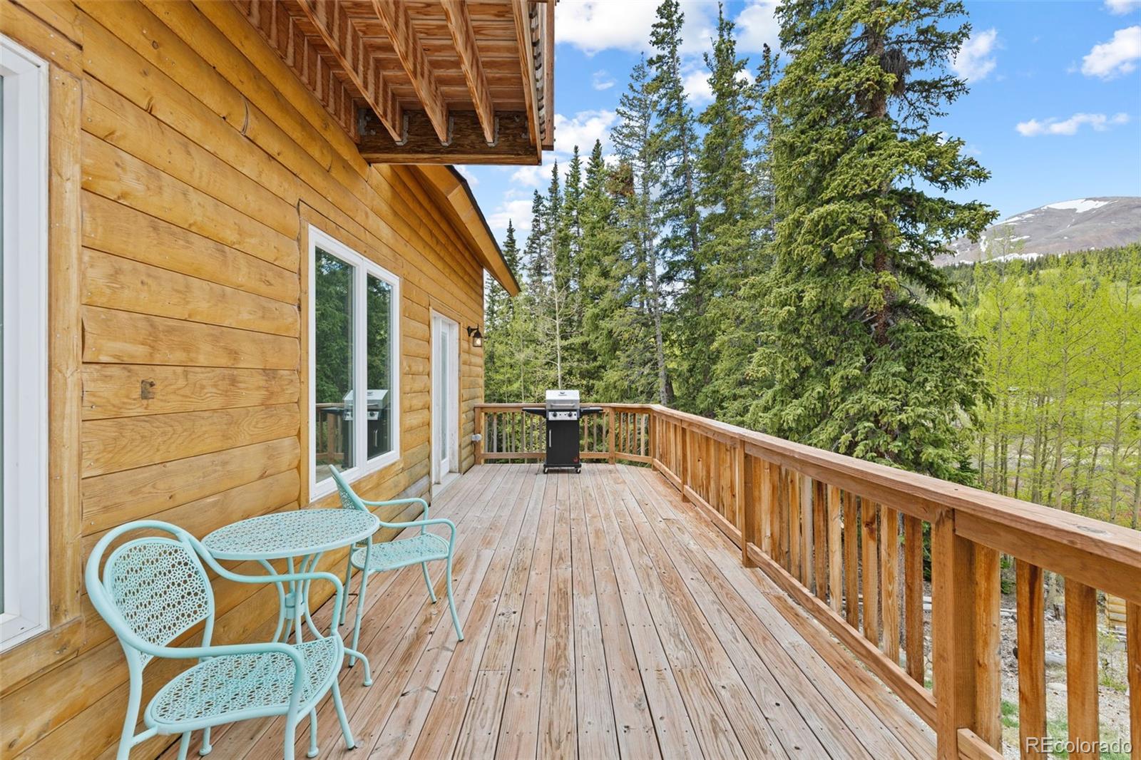 MLS Image #36 for 52  coot place,alma, Colorado