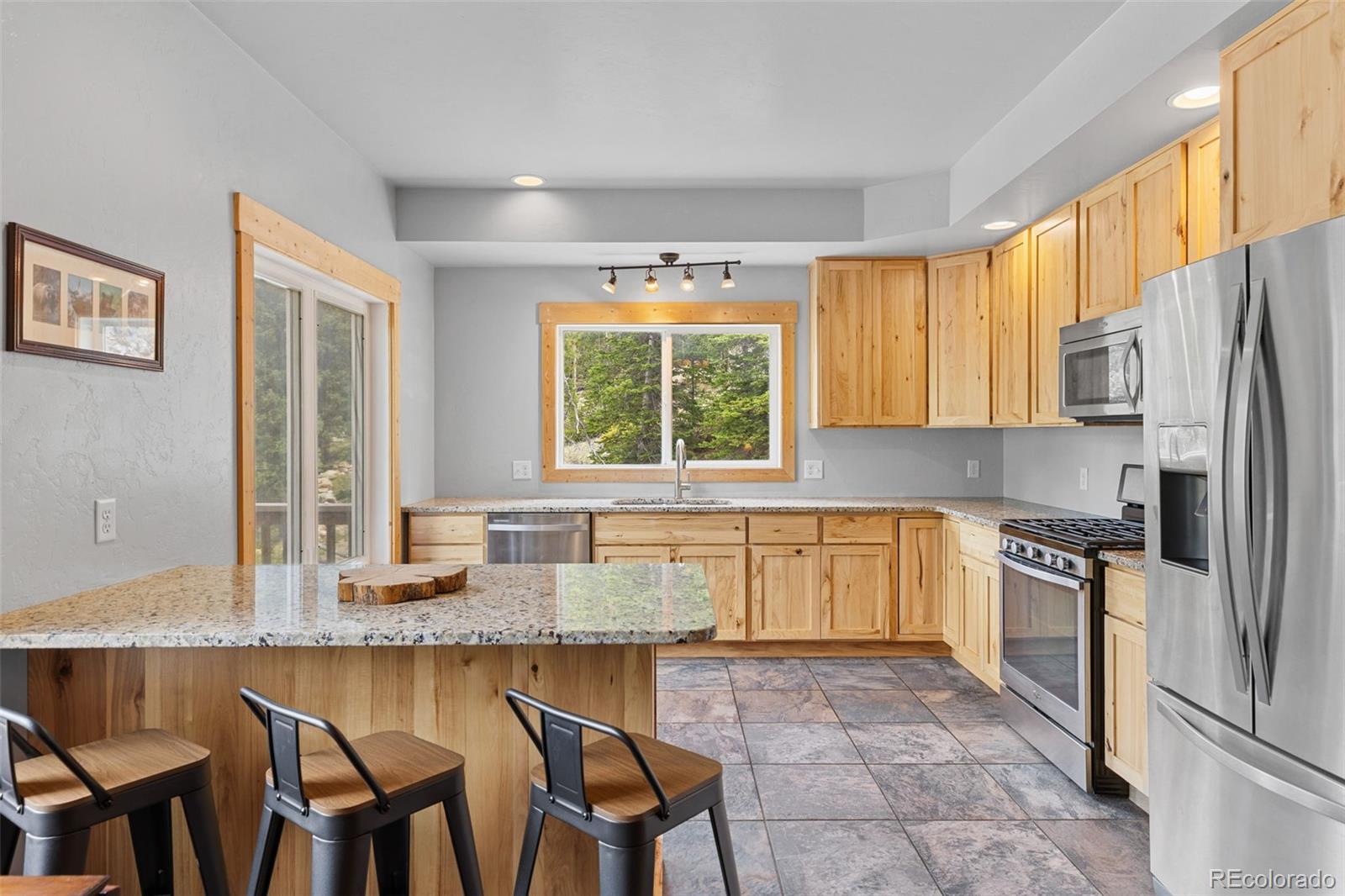 MLS Image #4 for 52  coot place,alma, Colorado