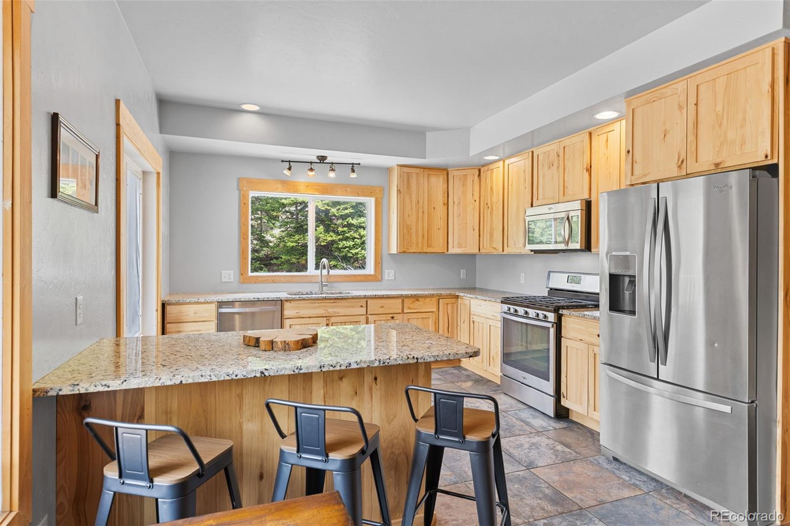 MLS Image #5 for 52  coot place,alma, Colorado