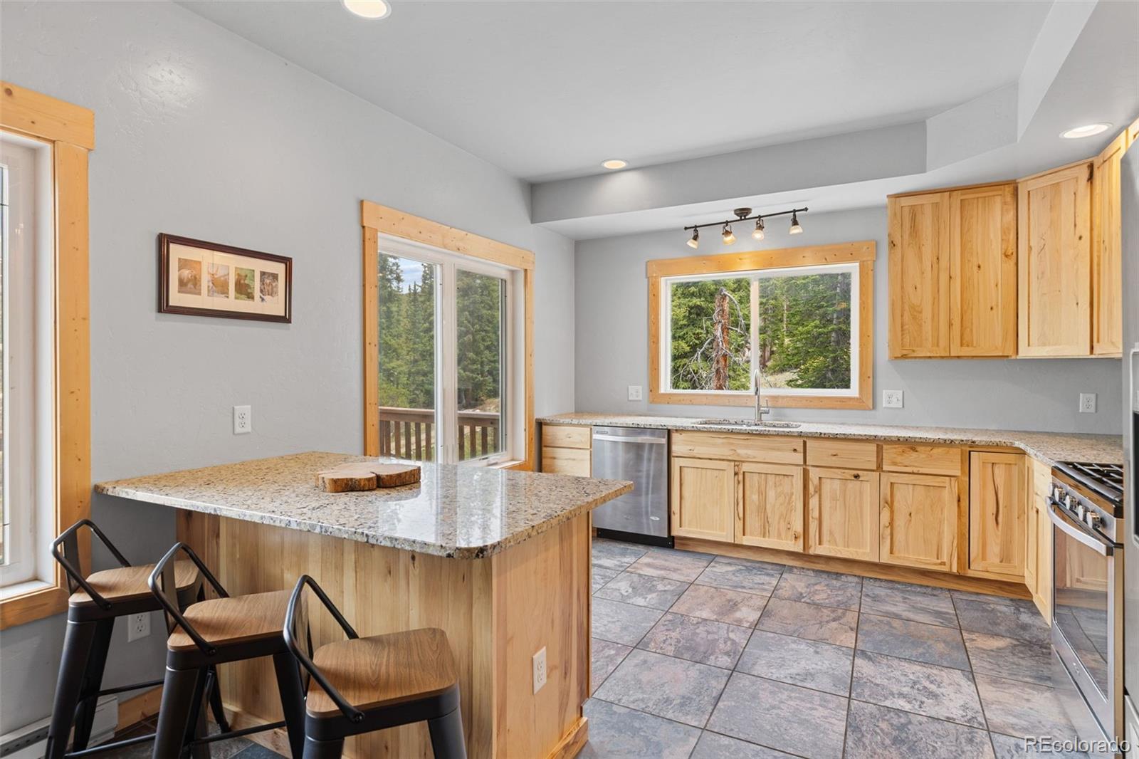 MLS Image #6 for 52  coot place,alma, Colorado