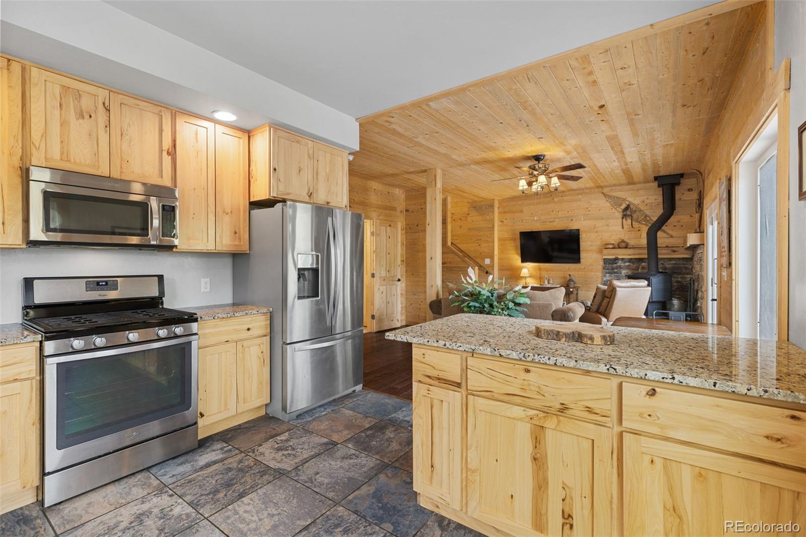 MLS Image #7 for 52  coot place,alma, Colorado