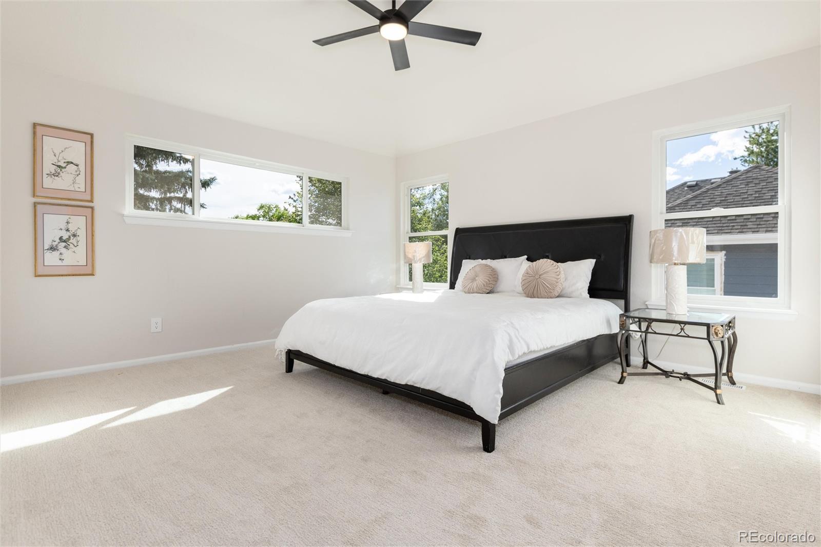 MLS Image #24 for 2358  weatherstone circle,highlands ranch, Colorado