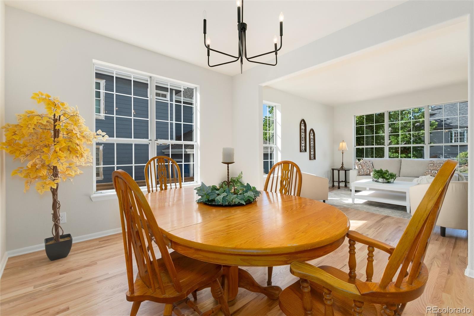 MLS Image #9 for 2358  weatherstone circle,highlands ranch, Colorado