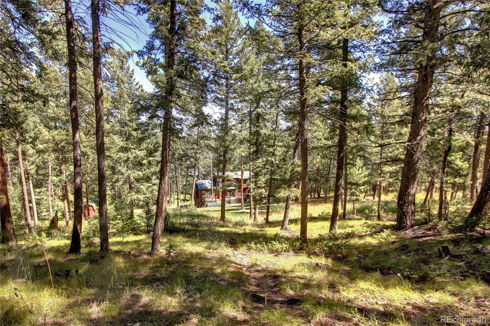 MLS Image #44 for 8095 s wagon wheel road,morrison, Colorado