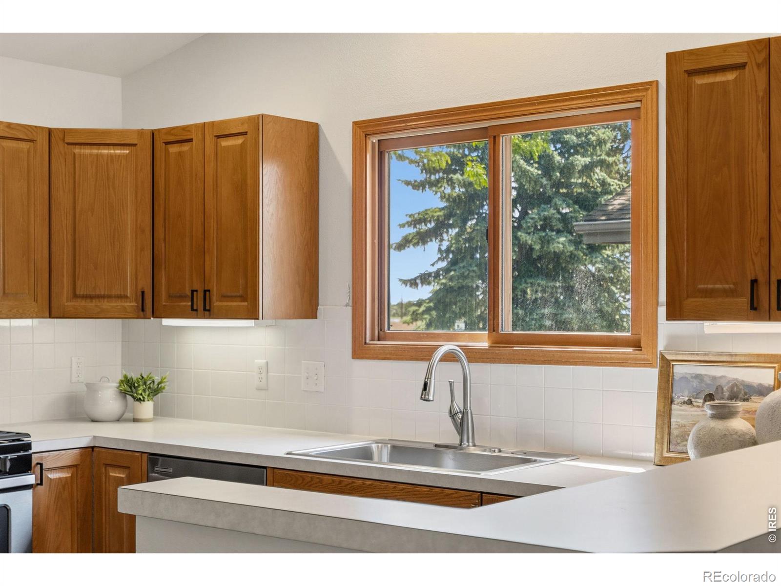 MLS Image #11 for 2059  adriel drive,fort collins, Colorado