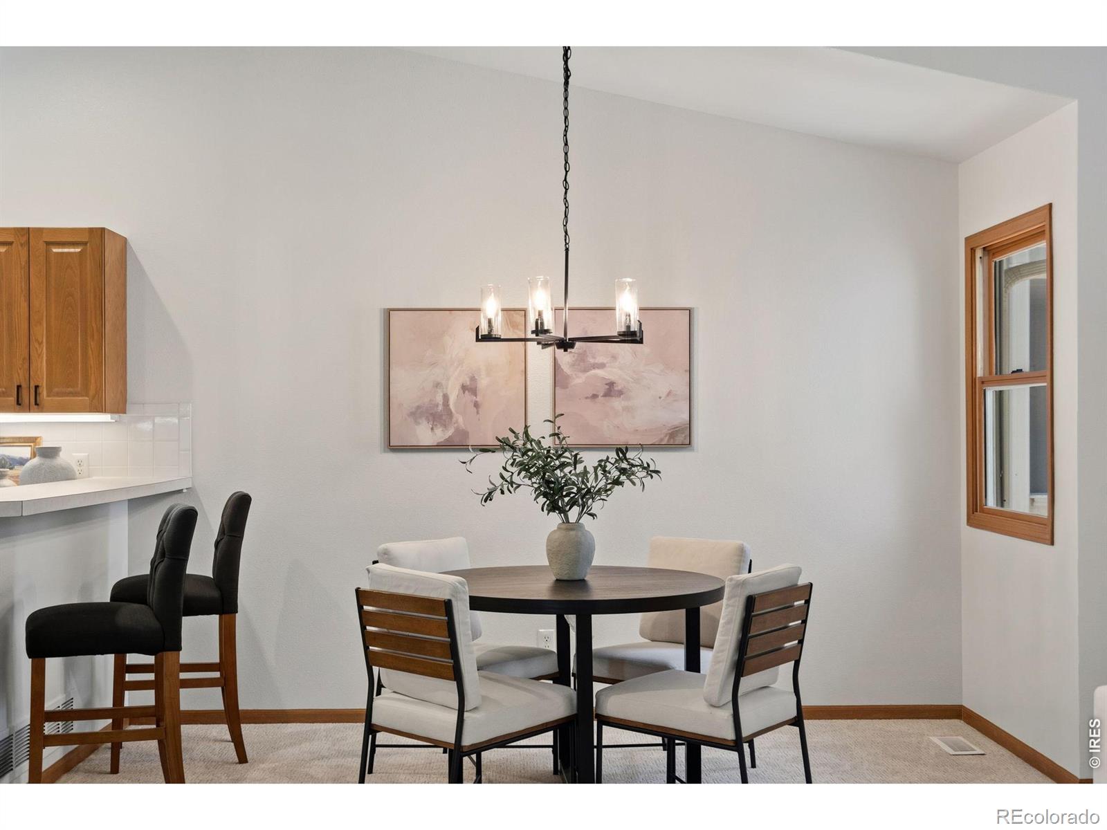 MLS Image #14 for 2059  adriel drive,fort collins, Colorado