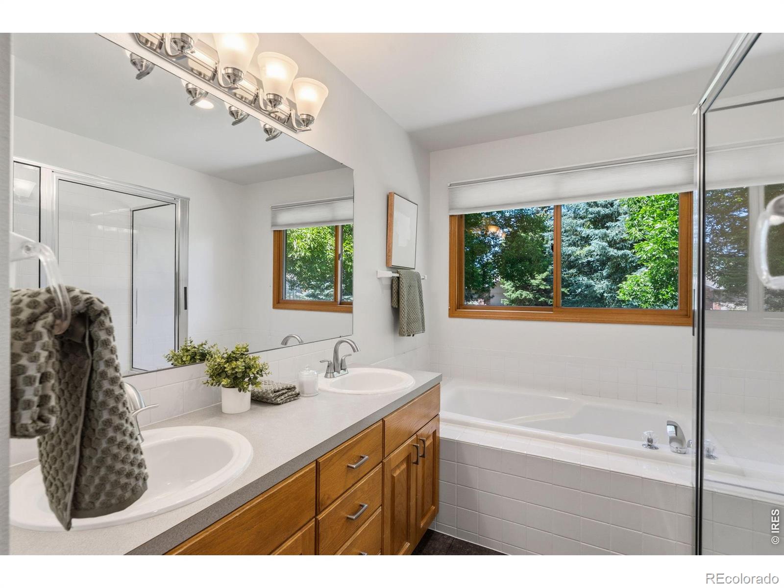 MLS Image #17 for 2059  adriel drive,fort collins, Colorado