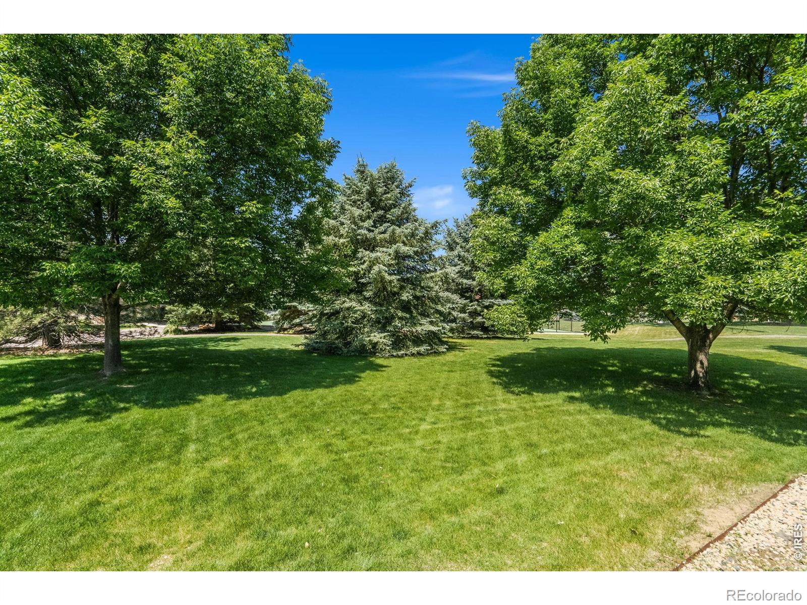 MLS Image #34 for 2059  adriel drive,fort collins, Colorado
