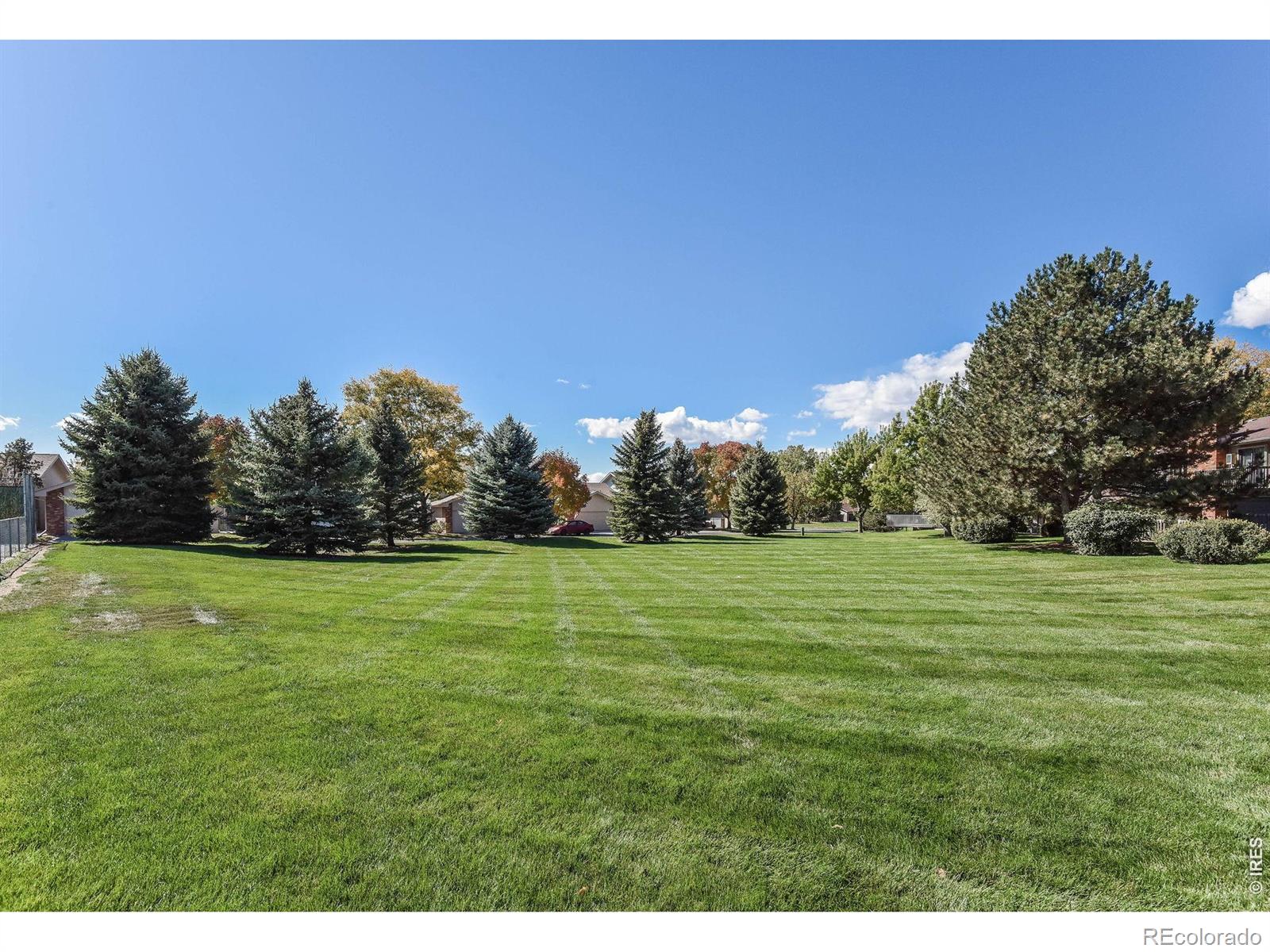 MLS Image #41 for 2059  adriel drive,fort collins, Colorado