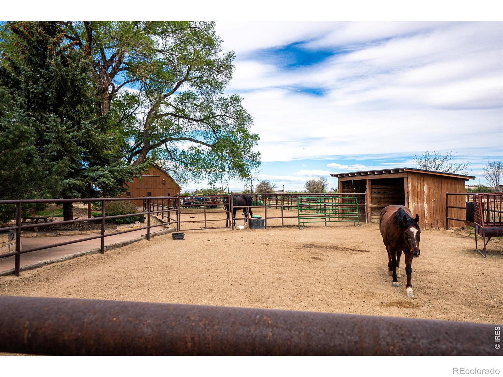 MLS Image #30 for 11529  county road 78 ,eaton, Colorado