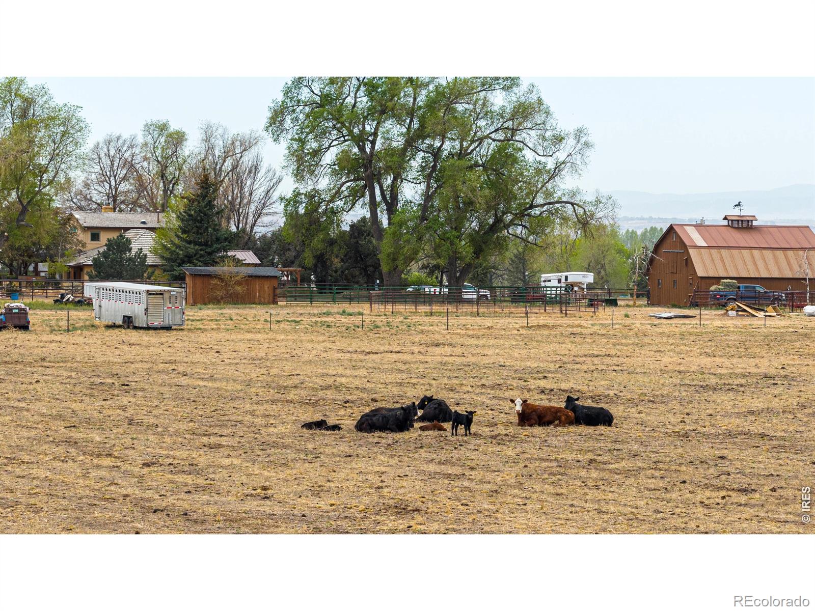 MLS Image #41 for 11529  county road 78 ,eaton, Colorado