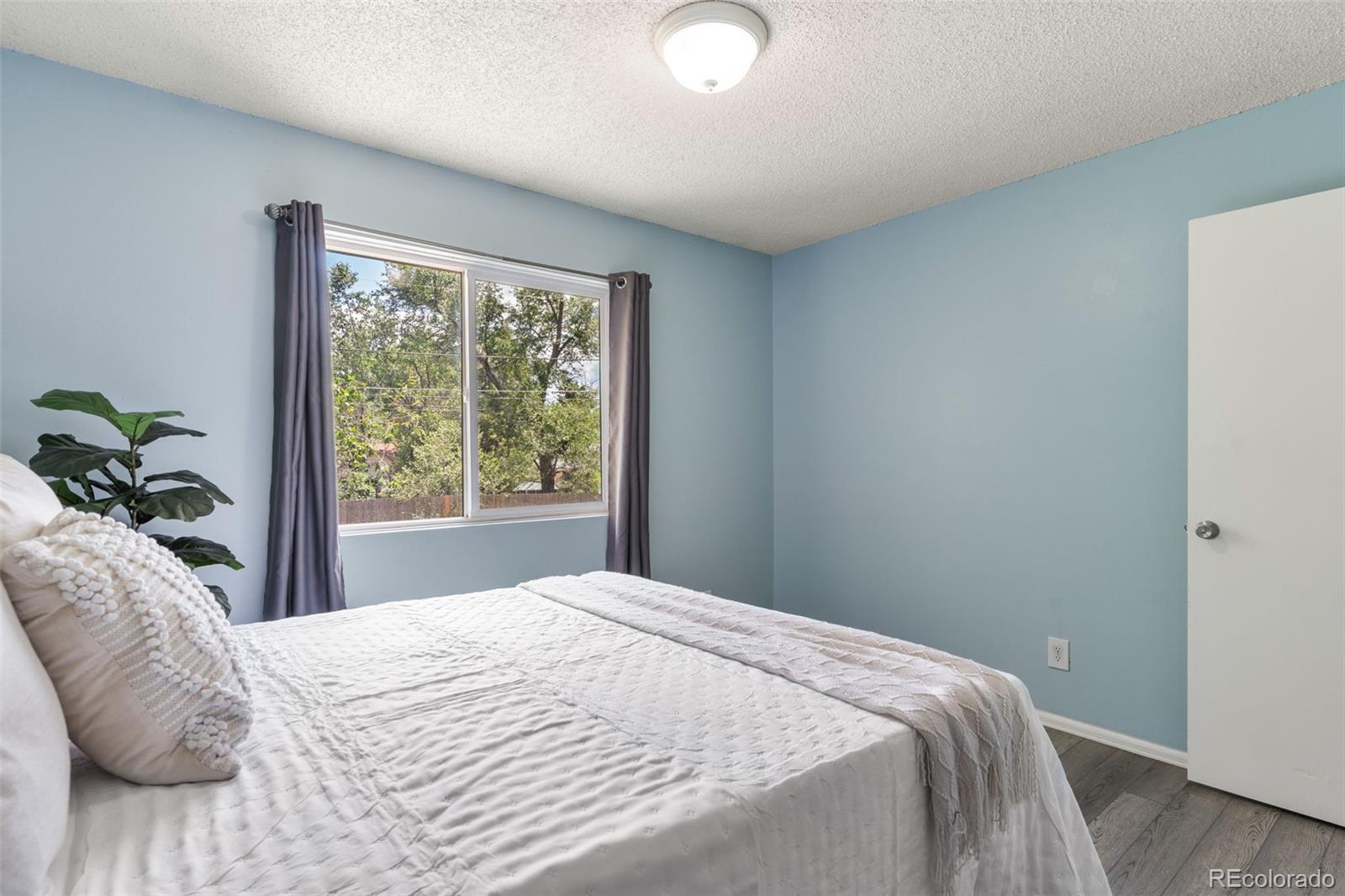MLS Image #18 for 346  iris drive,fountain, Colorado