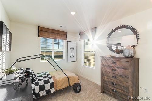 MLS Image #13 for 4809  lynxes way,johnstown, Colorado