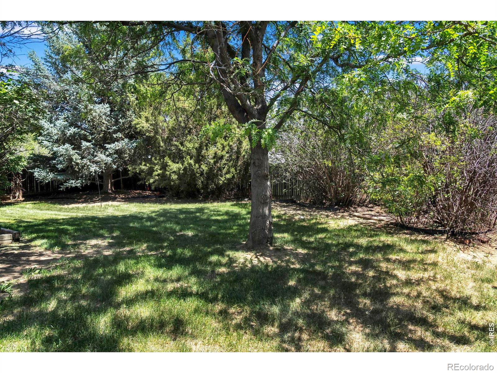 MLS Image #27 for 1106  red oak drive,longmont, Colorado
