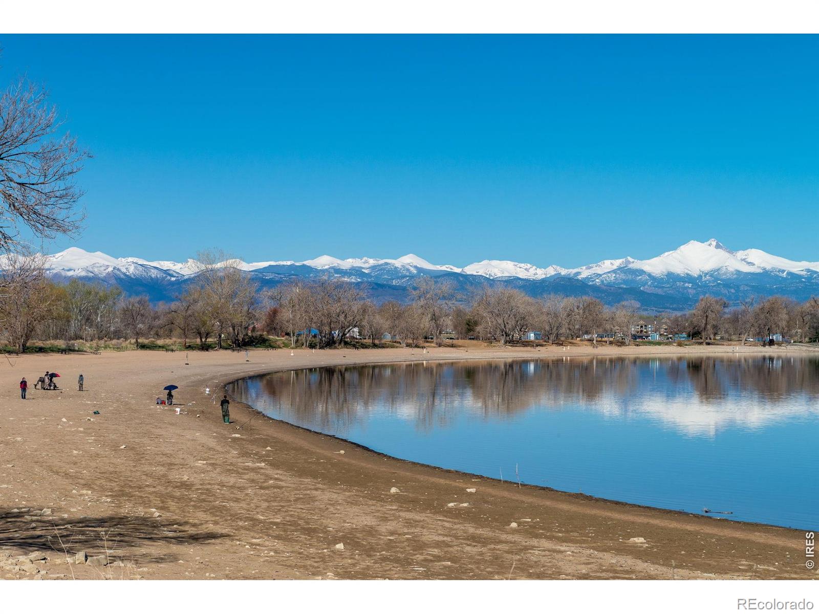 MLS Image #29 for 1106  red oak drive,longmont, Colorado