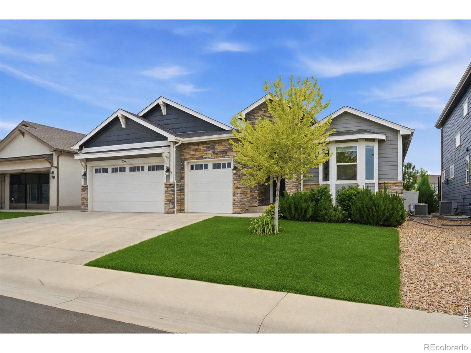 MLS Image #8 for 657  boxwood drive,windsor, Colorado