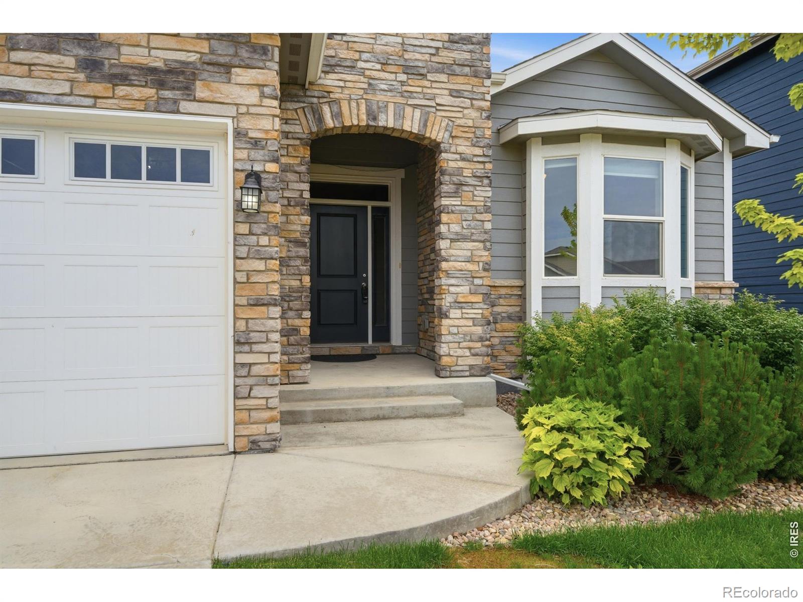 MLS Image #9 for 657  boxwood drive,windsor, Colorado