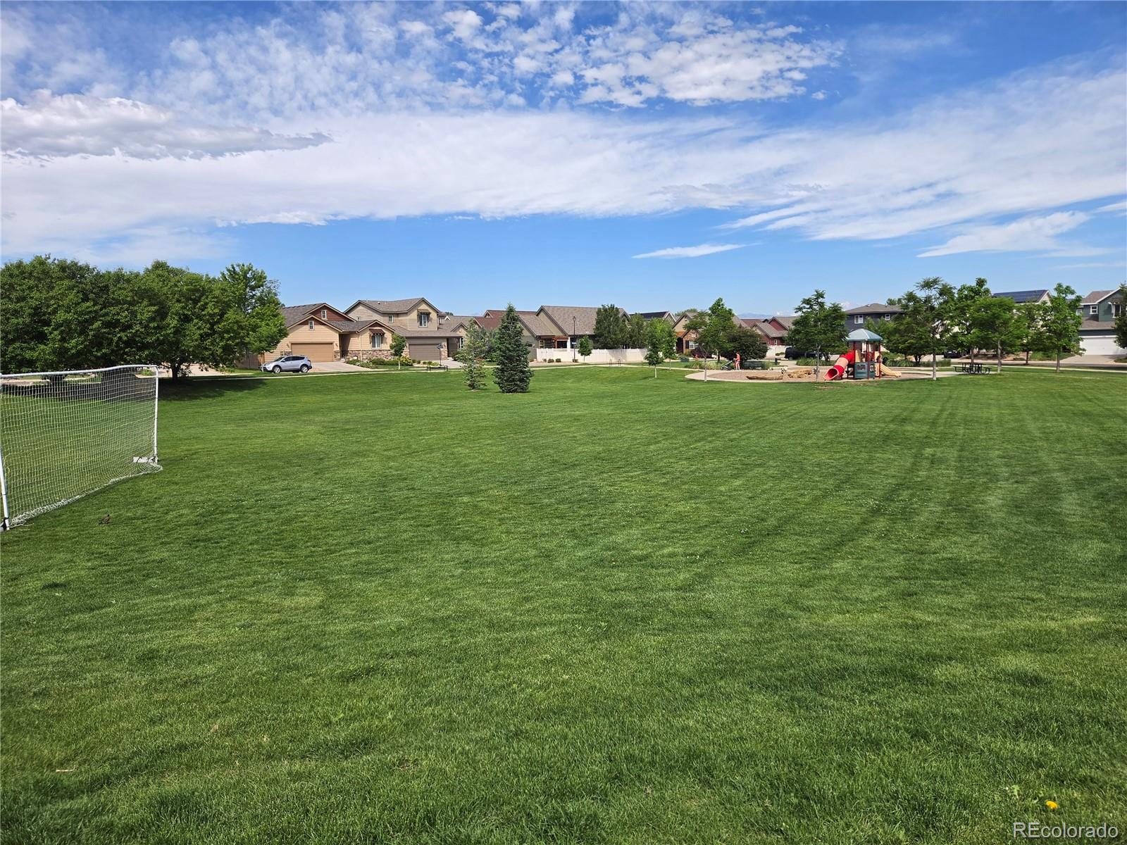 MLS Image #42 for 768  treece street,louisville, Colorado