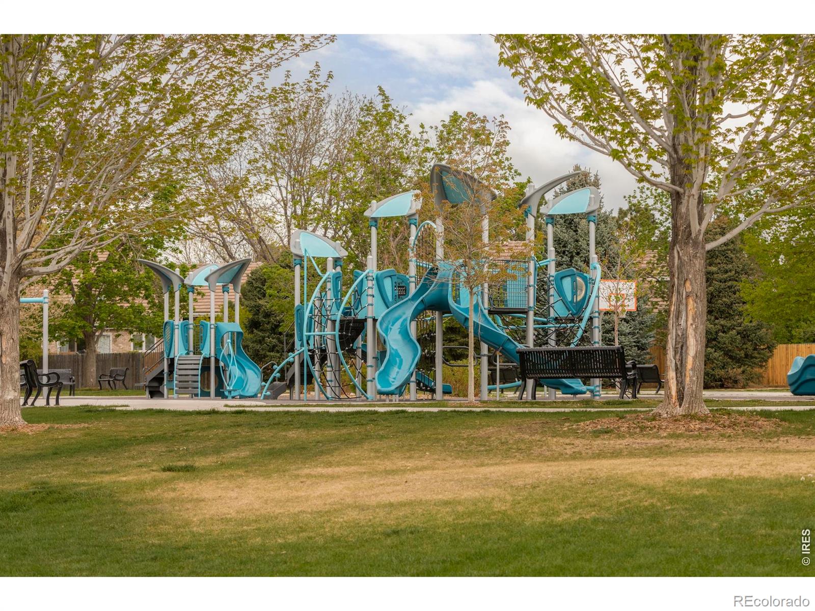 MLS Image #38 for 552 w jamison place,littleton, Colorado