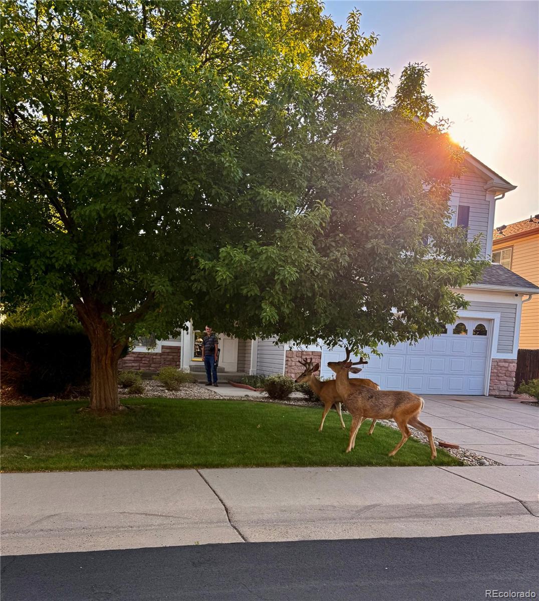 MLS Image #28 for 20409  heather lane,parker, Colorado