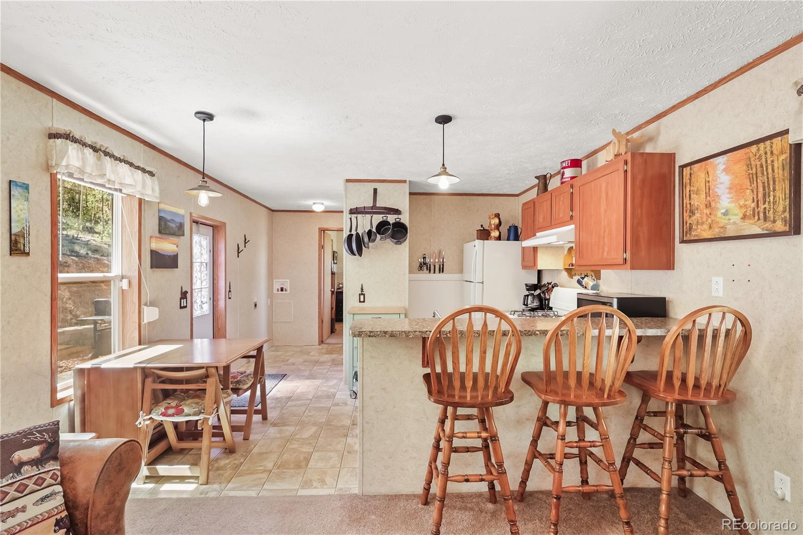 MLS Image #10 for 9525 s state highway 67 ,divide, Colorado