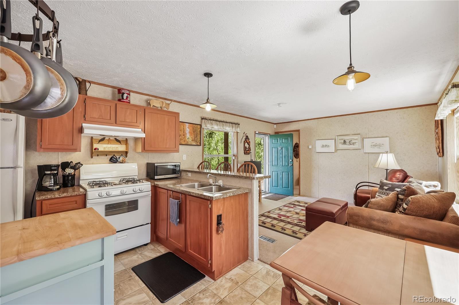 MLS Image #12 for 9525 s state highway 67 ,divide, Colorado