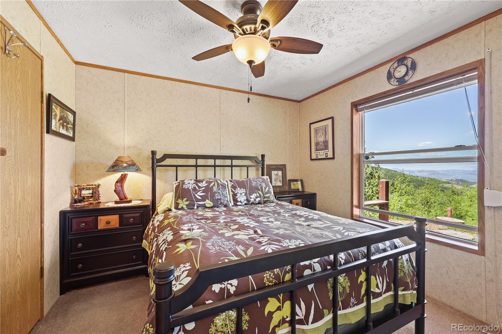 MLS Image #17 for 9525 s state highway 67 ,divide, Colorado