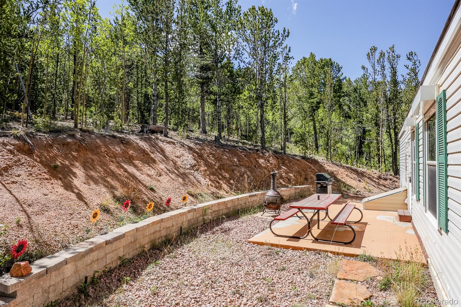 MLS Image #22 for 9525 s state highway 67 ,divide, Colorado