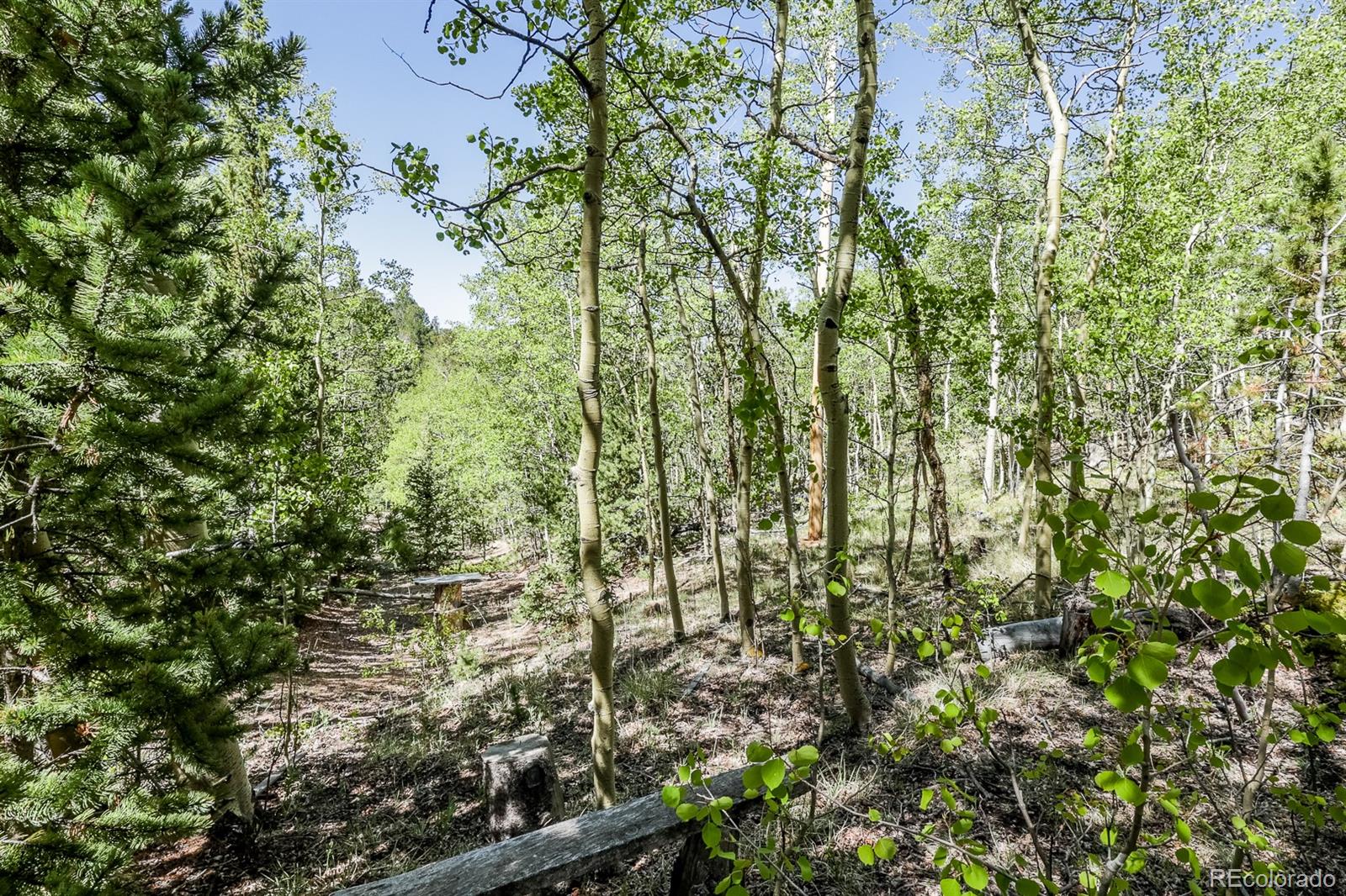 MLS Image #37 for 9525 s state highway 67 ,divide, Colorado