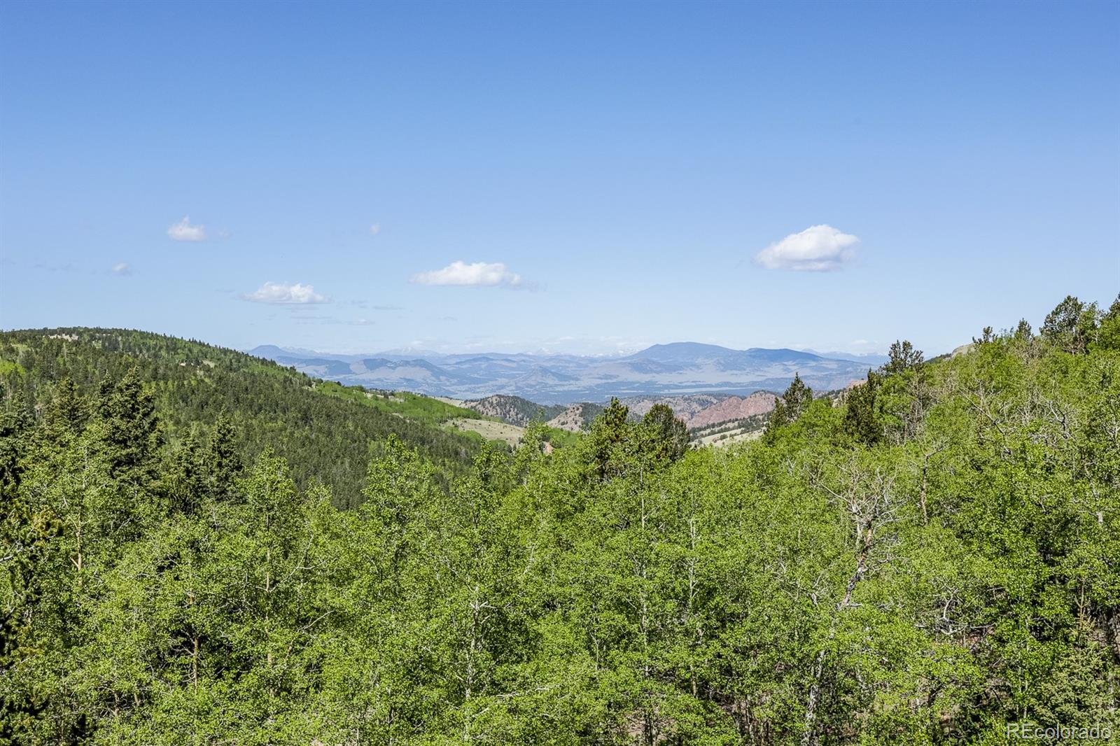 MLS Image #6 for 9525 s state highway 67 ,divide, Colorado