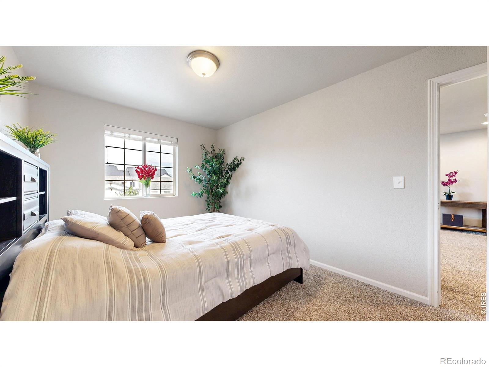 MLS Image #33 for 138 n pamela drive,loveland, Colorado