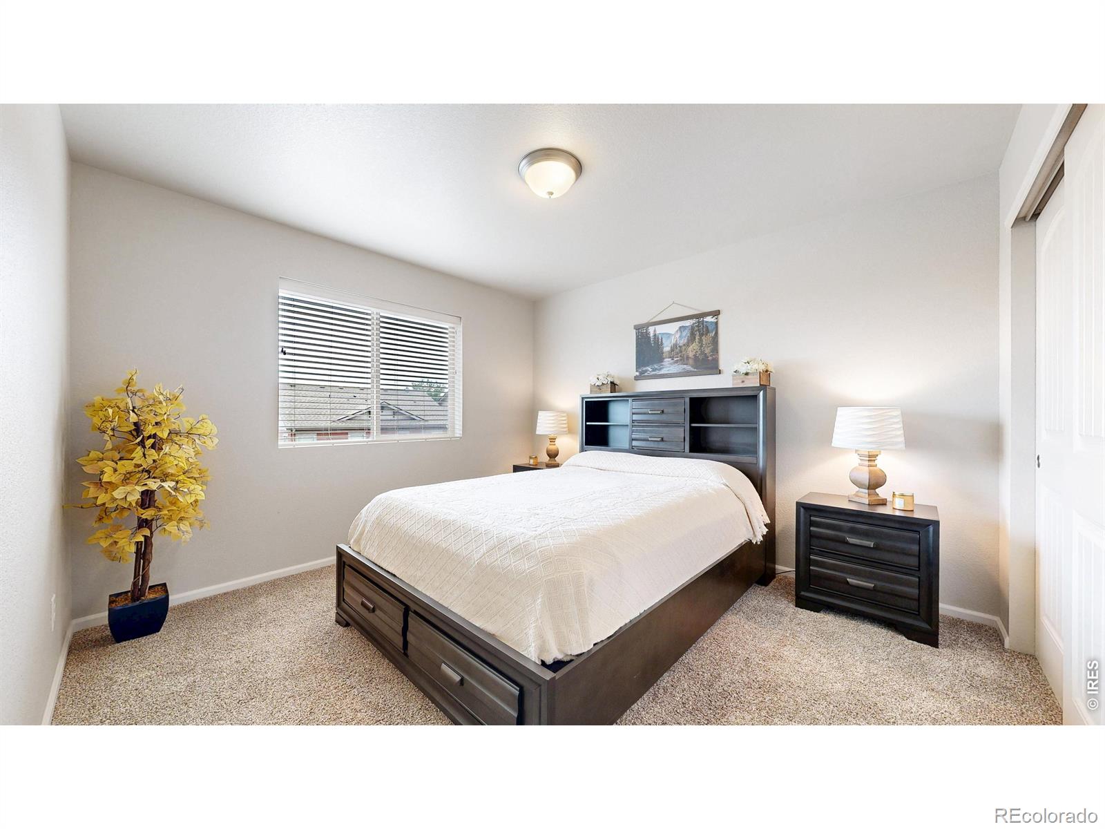 MLS Image #35 for 138 n pamela drive,loveland, Colorado