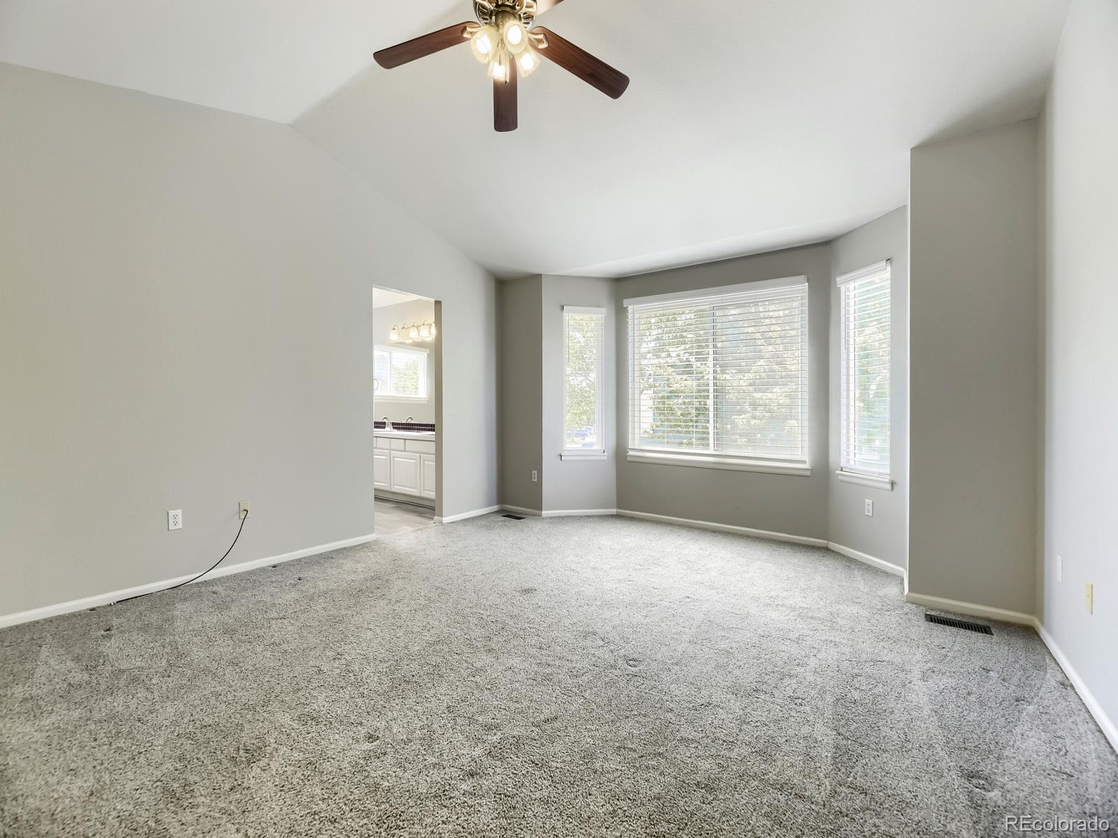 MLS Image #12 for 9742  spring hill place,littleton, Colorado