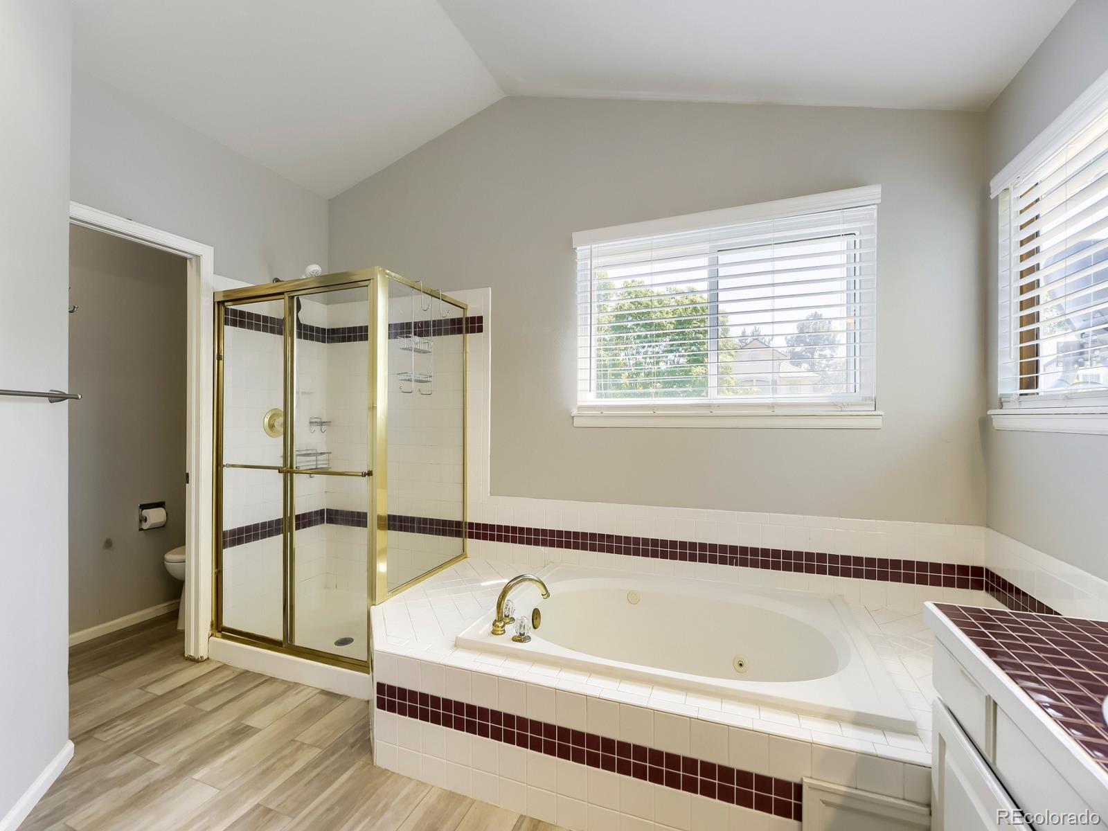MLS Image #13 for 9742  spring hill place,littleton, Colorado
