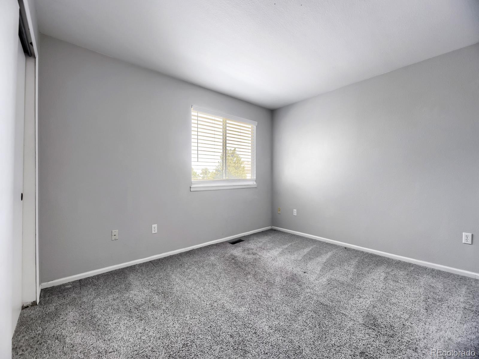 MLS Image #15 for 9742  spring hill place,littleton, Colorado