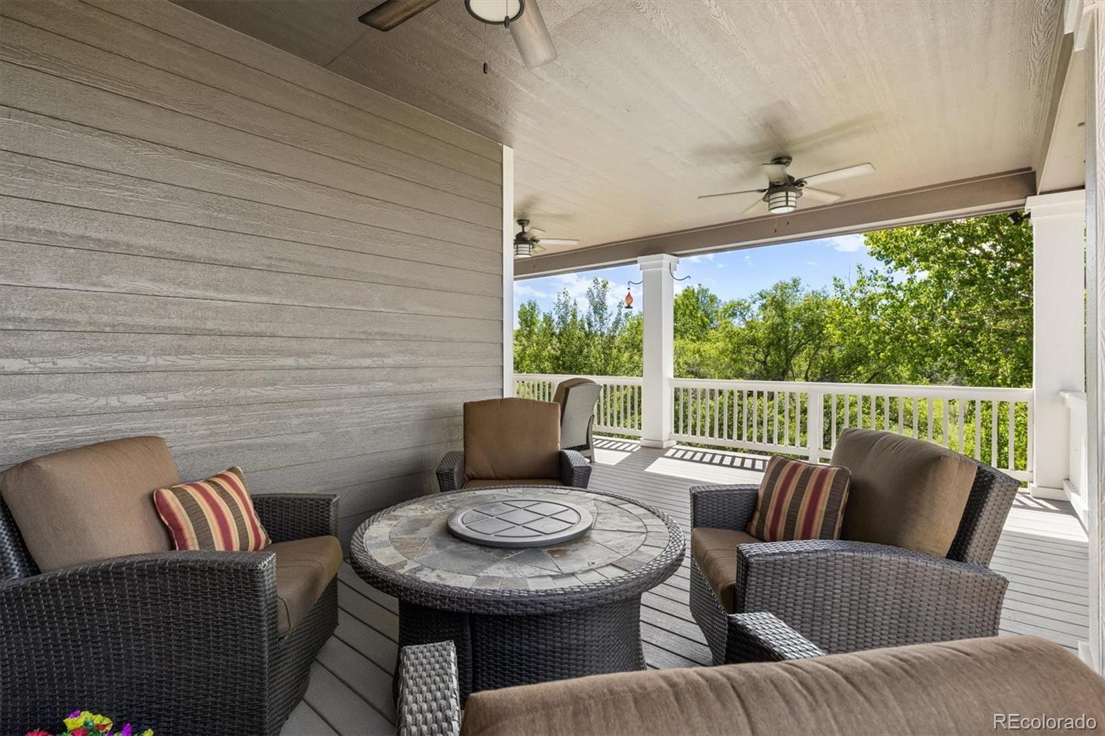 MLS Image #19 for 11873  phoebe street,parker, Colorado