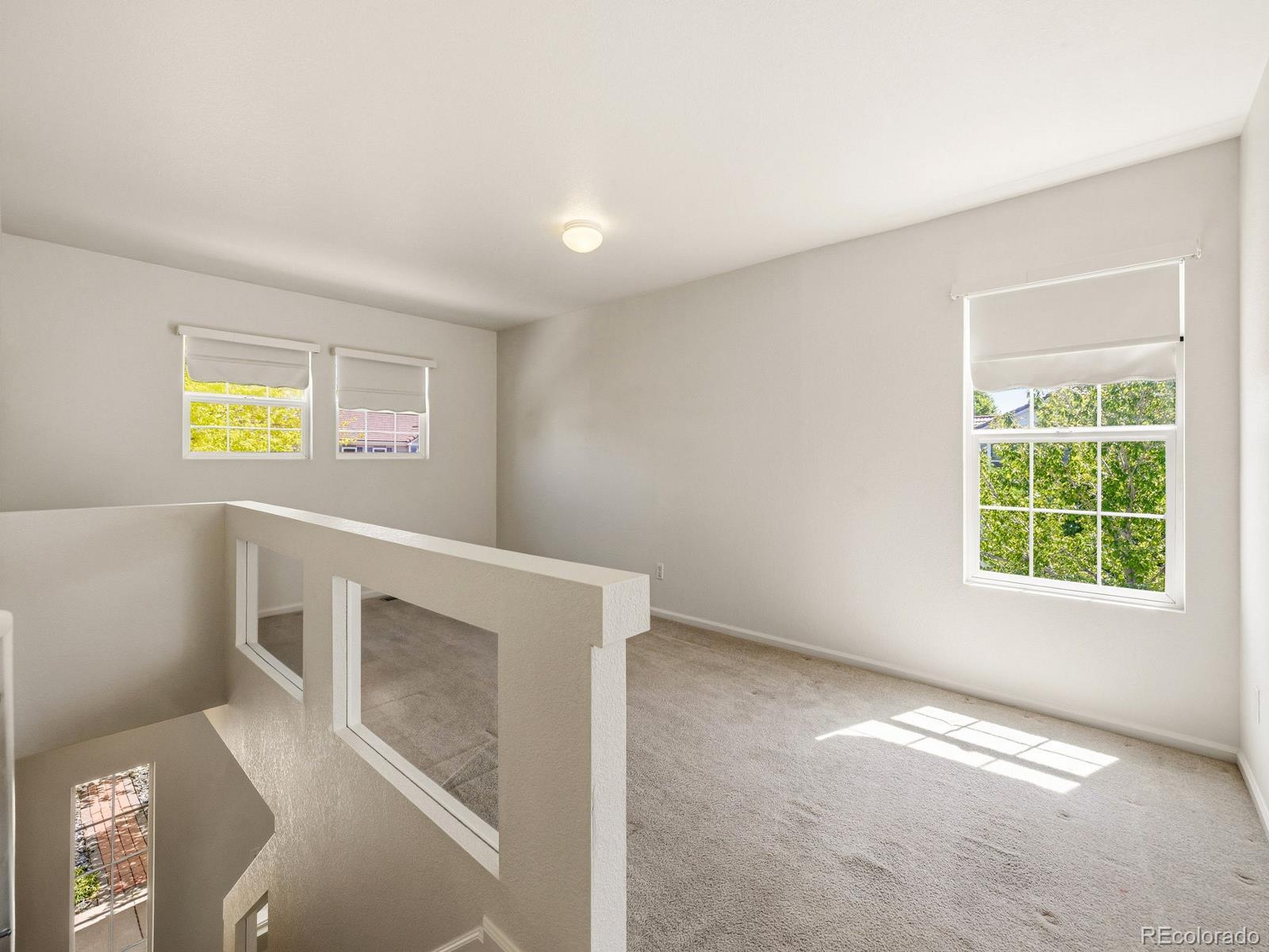 MLS Image #19 for 21488  randolph place,denver, Colorado