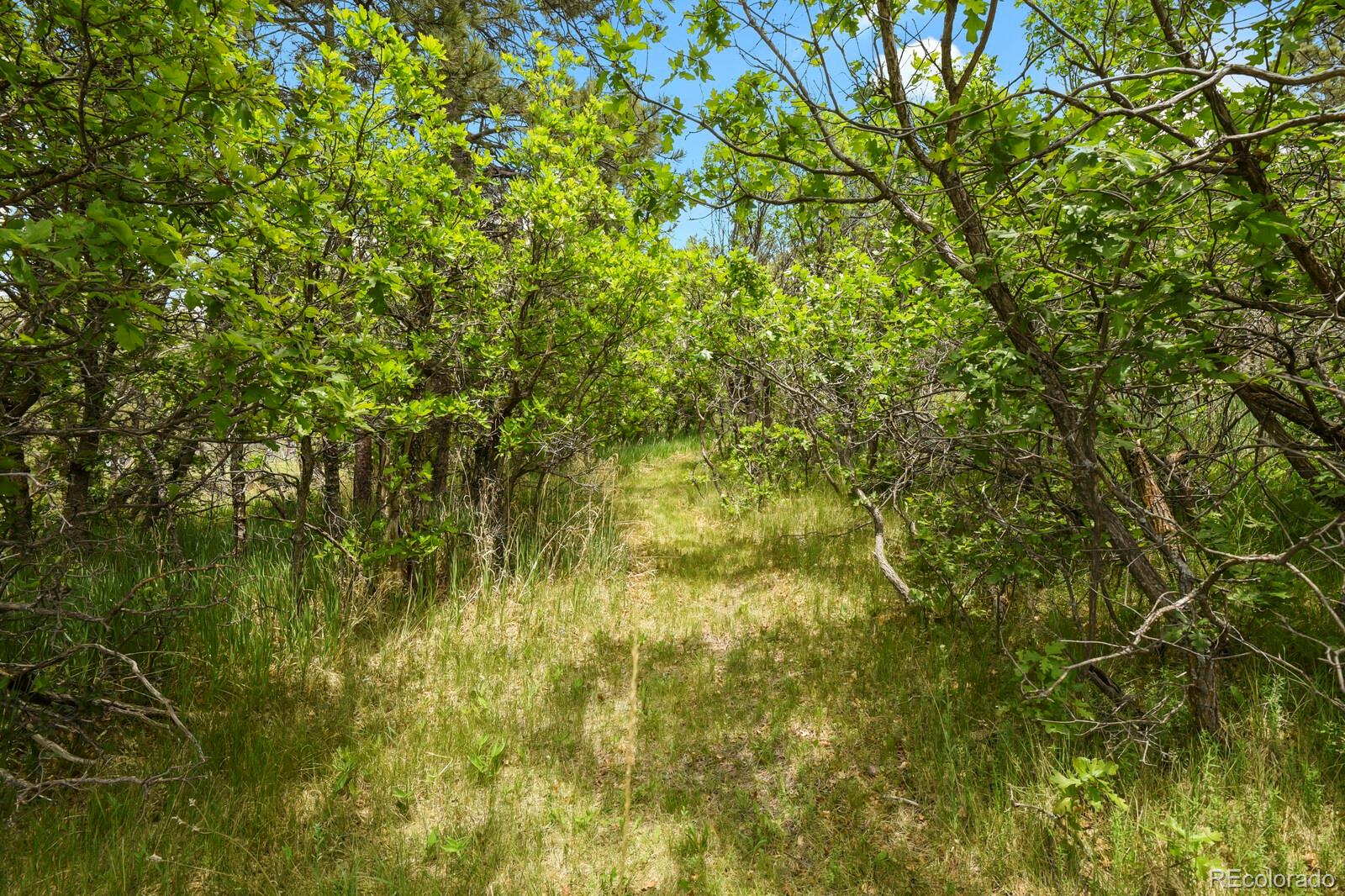 MLS Image #39 for 19220  wakonda way,monument, Colorado