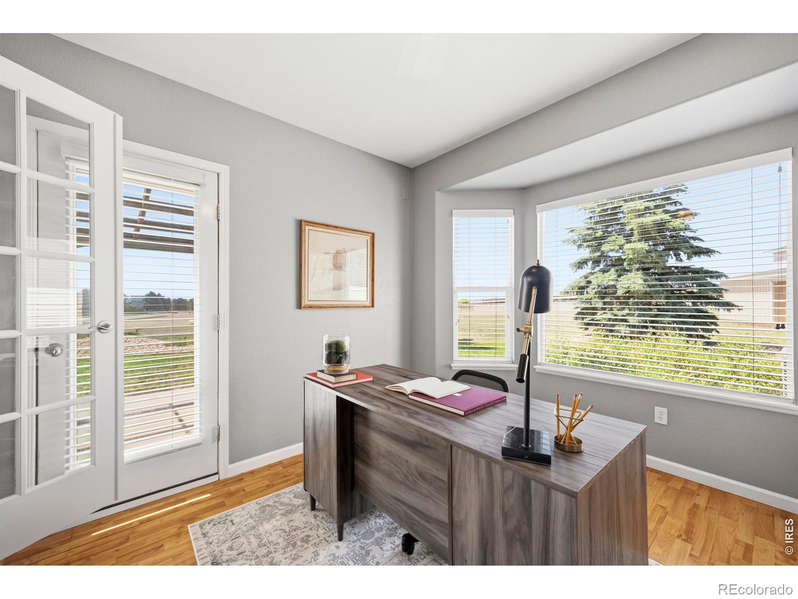 MLS Image #20 for 2222  dominic court,severance, Colorado