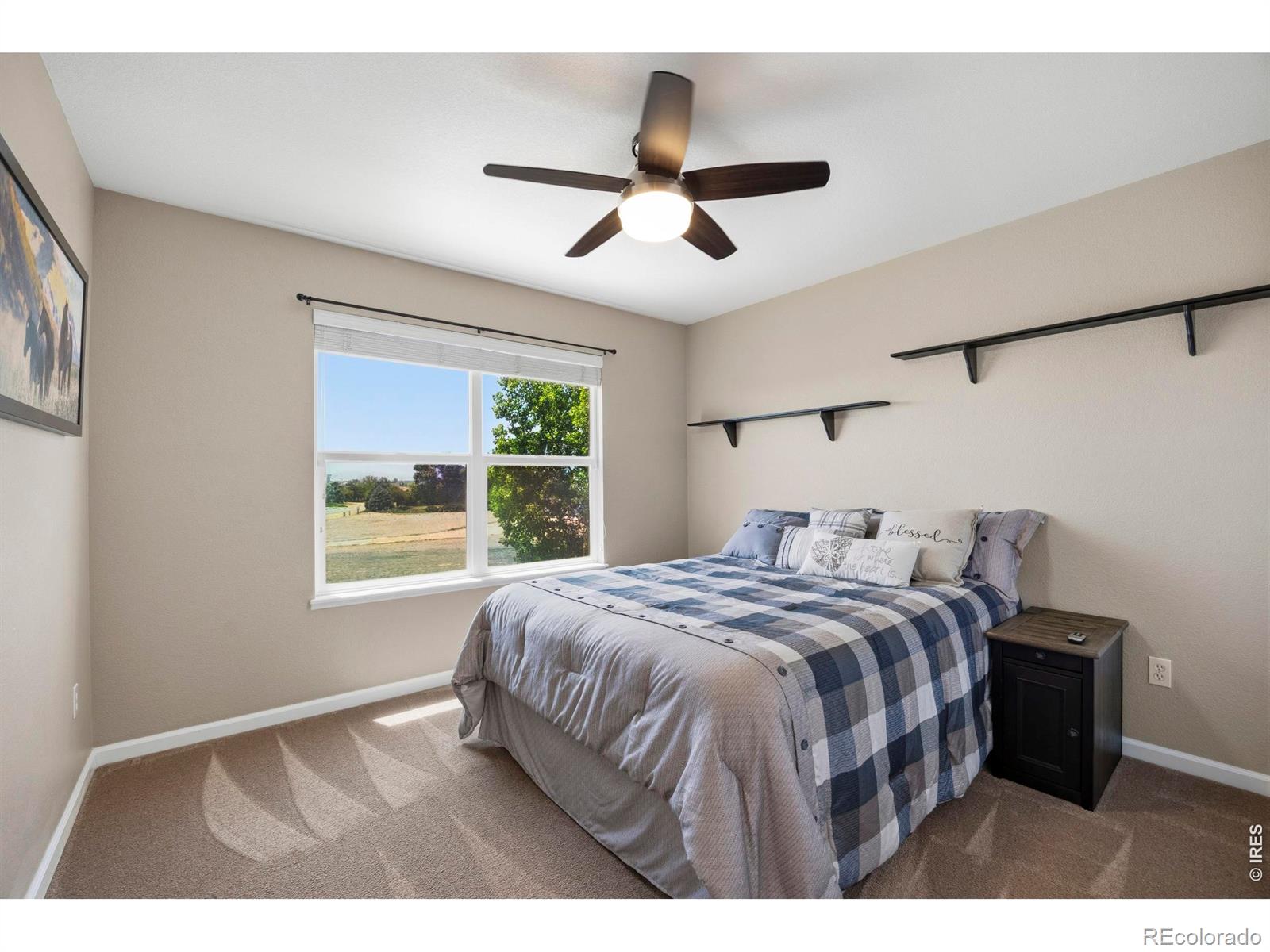 MLS Image #23 for 2222  dominic court,severance, Colorado