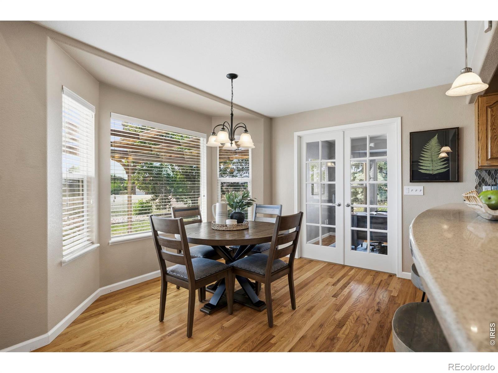 MLS Image #8 for 2222  dominic court,severance, Colorado