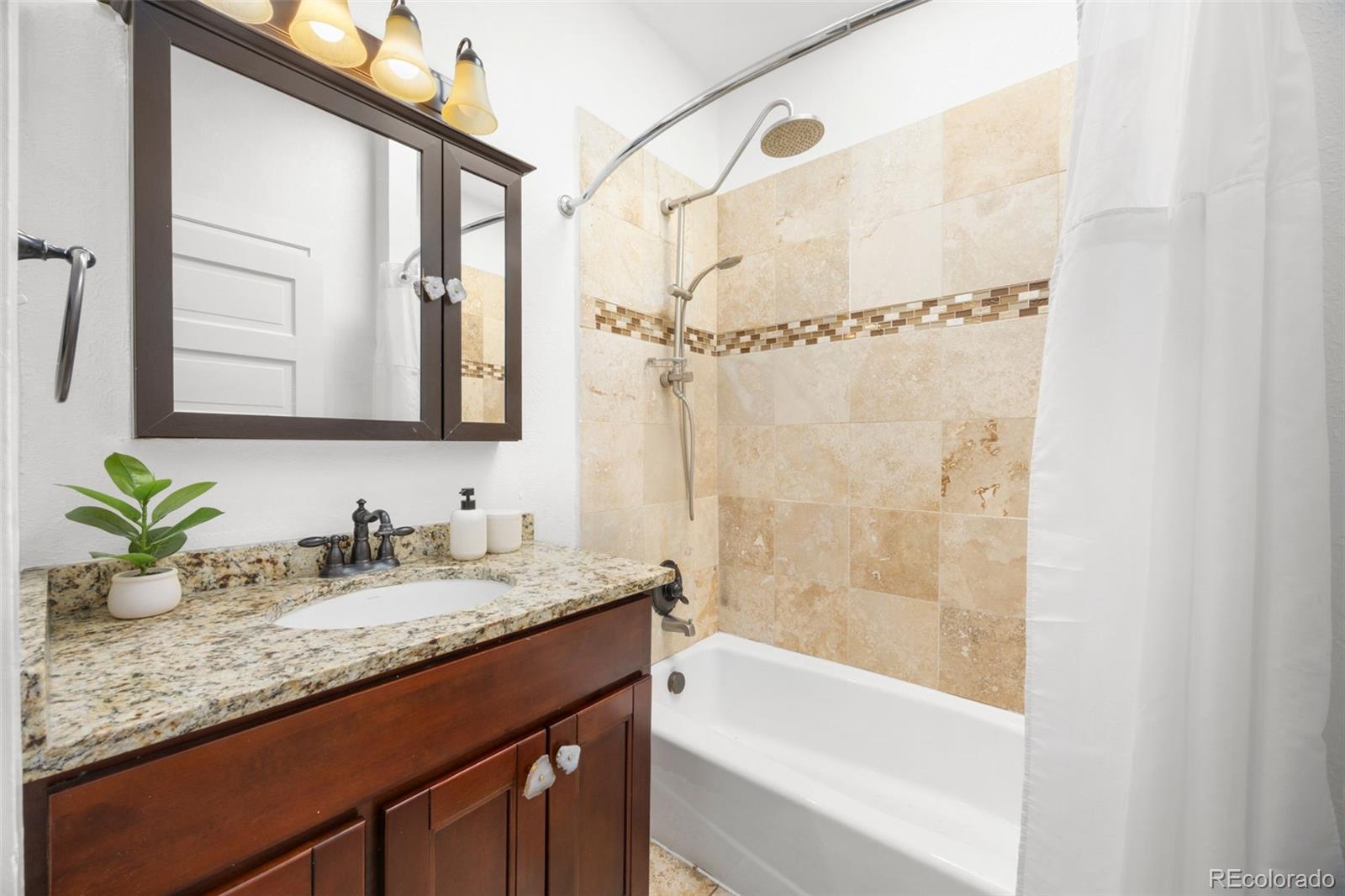 MLS Image #12 for 257  cherokee street,denver, Colorado
