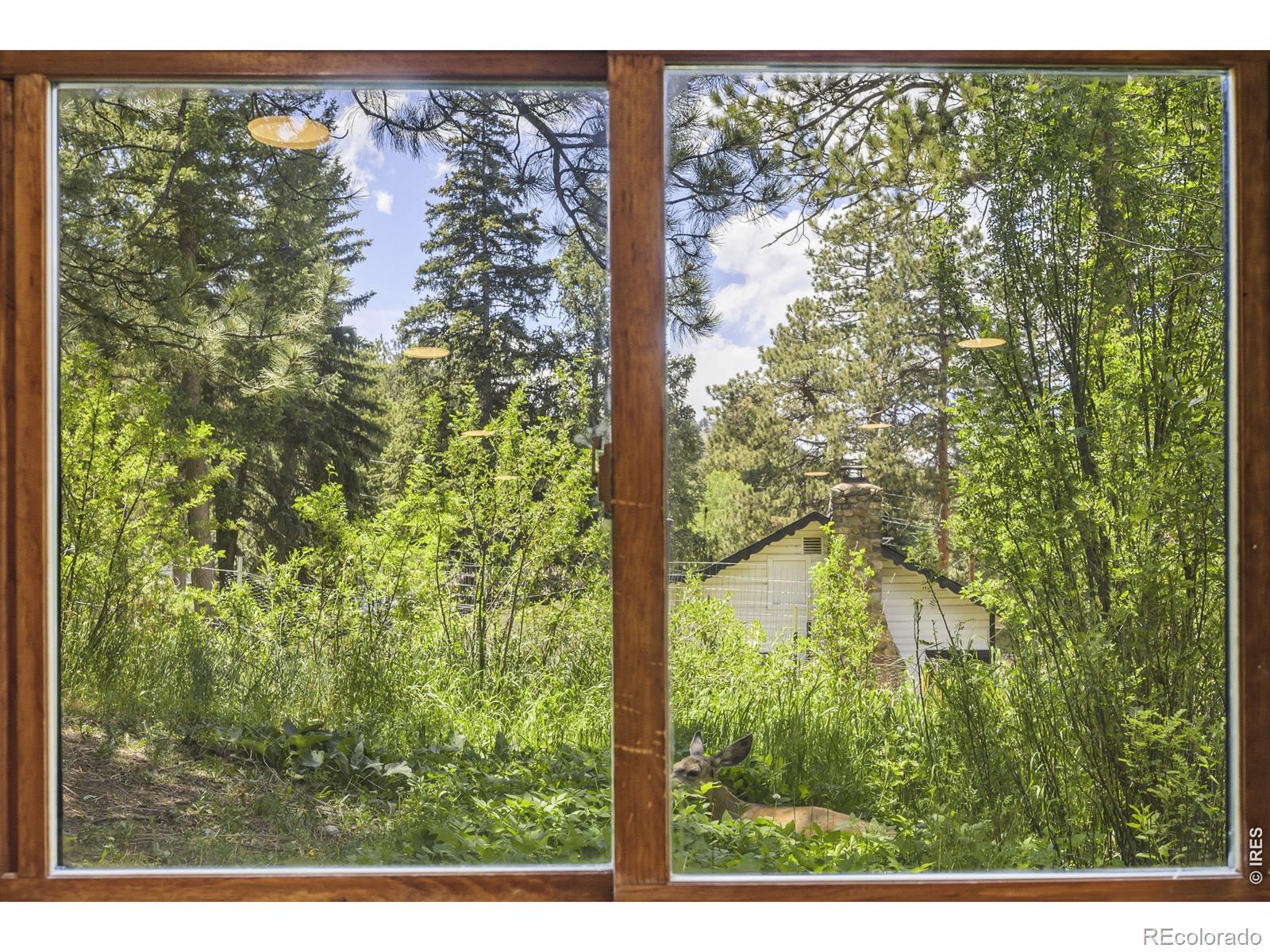 MLS Image #25 for 26360  mowbray court,kittredge, Colorado